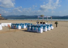 Ceremony Setup