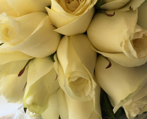 roses in wedding bouquet