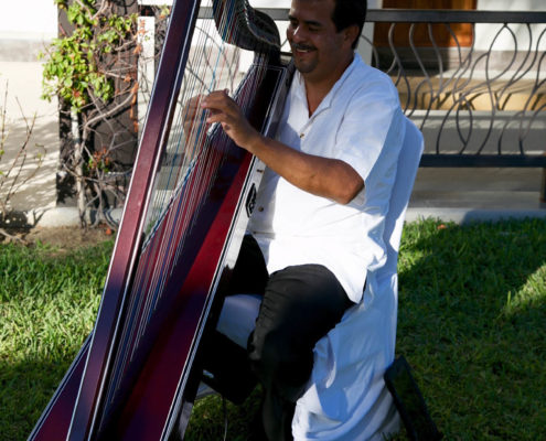 harp player welcomes wedding guests.