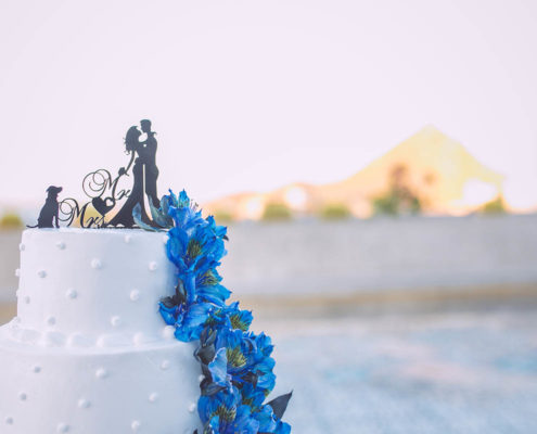 wedding cake with blue flowers and Cabo in background